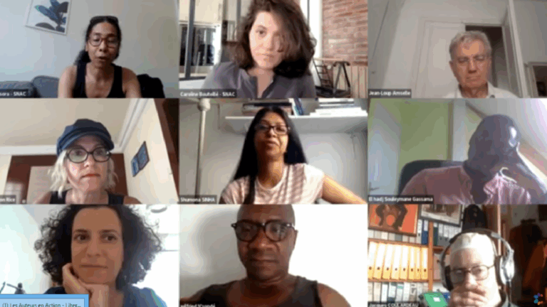 Webinaire les auteurs en actions : assignation identitaire catégorie “francophone”