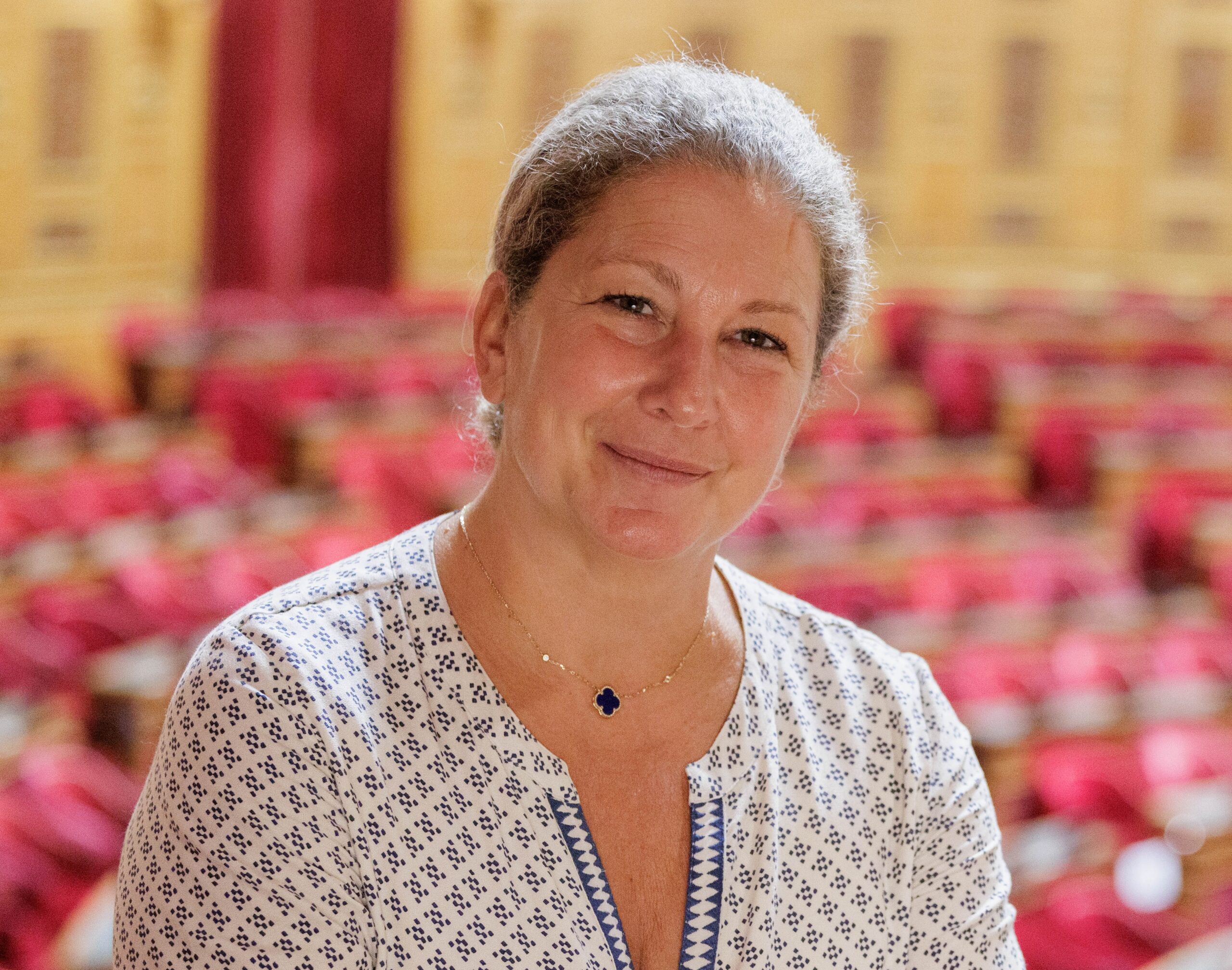 Le Sénat a voté la loi relative à l’instauration d’une présomption d’utilisation des contenus culturels par les fournisseurs d’IA – Un entretien avec Laure Darcos