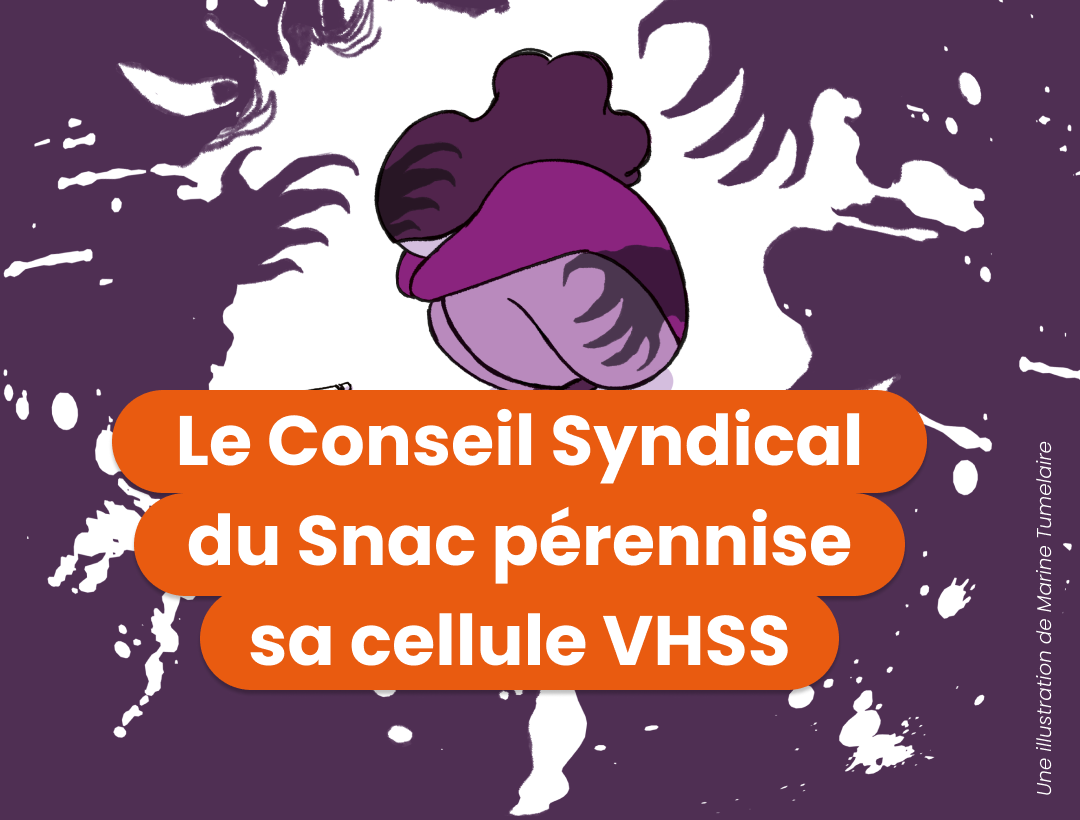 Le Conseil syndical du Snac pérennise sa cellule VHSS